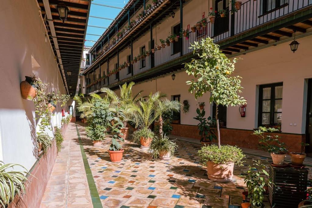 Apartamento Con Encanto En Patio Sevillano 外观 照片